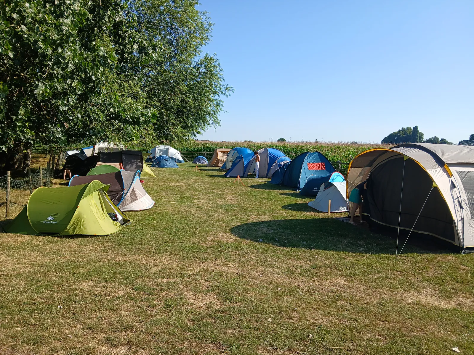 Les tentes des invités plantées sur la pelouse, pour dormir sur place
