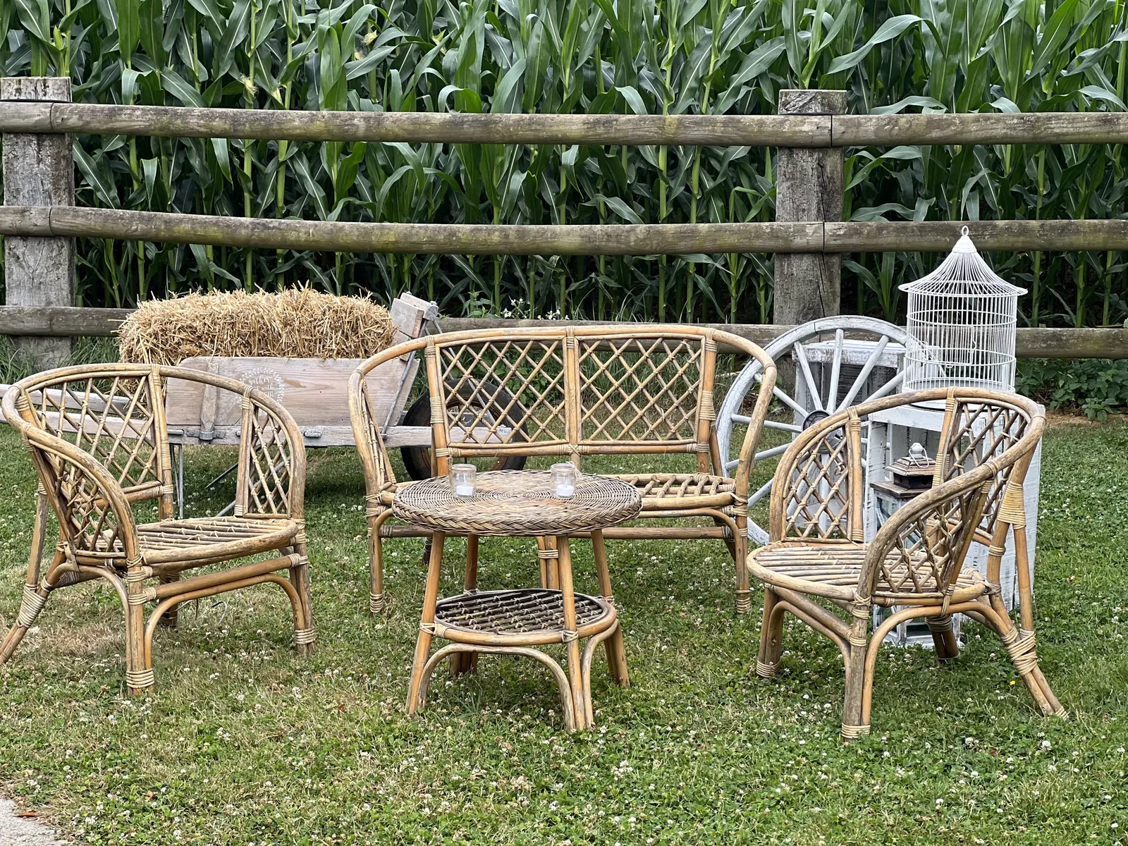 Salon en rotin installé au bord du champ de maïs
