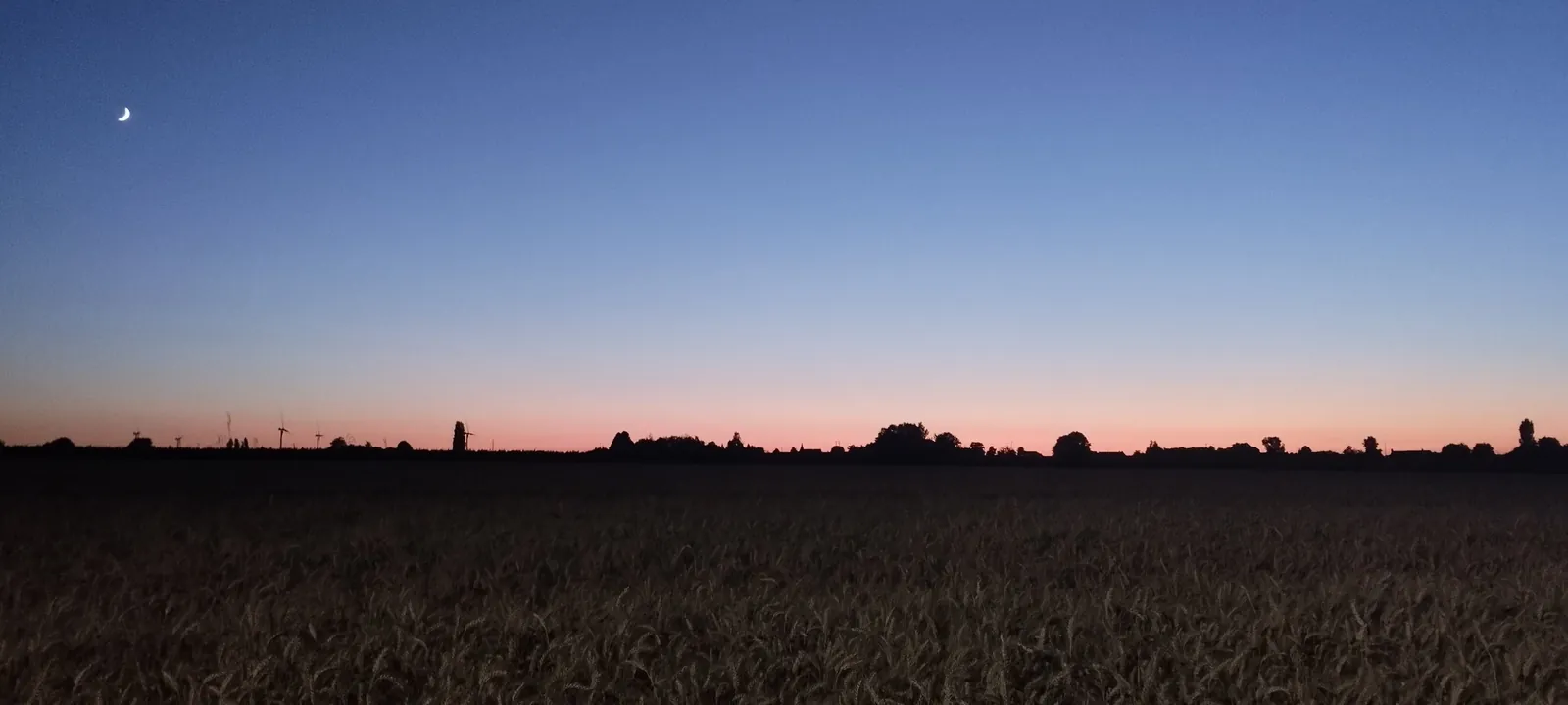 Coucher de soleil sur la plaine, vu du domaine
